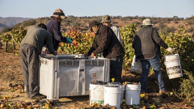 Villard Fine Wines - Image 3